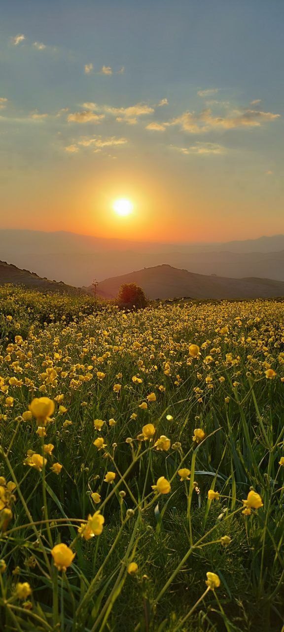 قله قولی زلیخا باشگاه کوهنوردی زاگرس