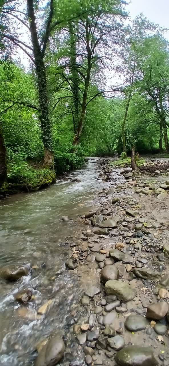 پیمایش جنگلی به سمت آبشار اسکلیم باشگاه زاگرس