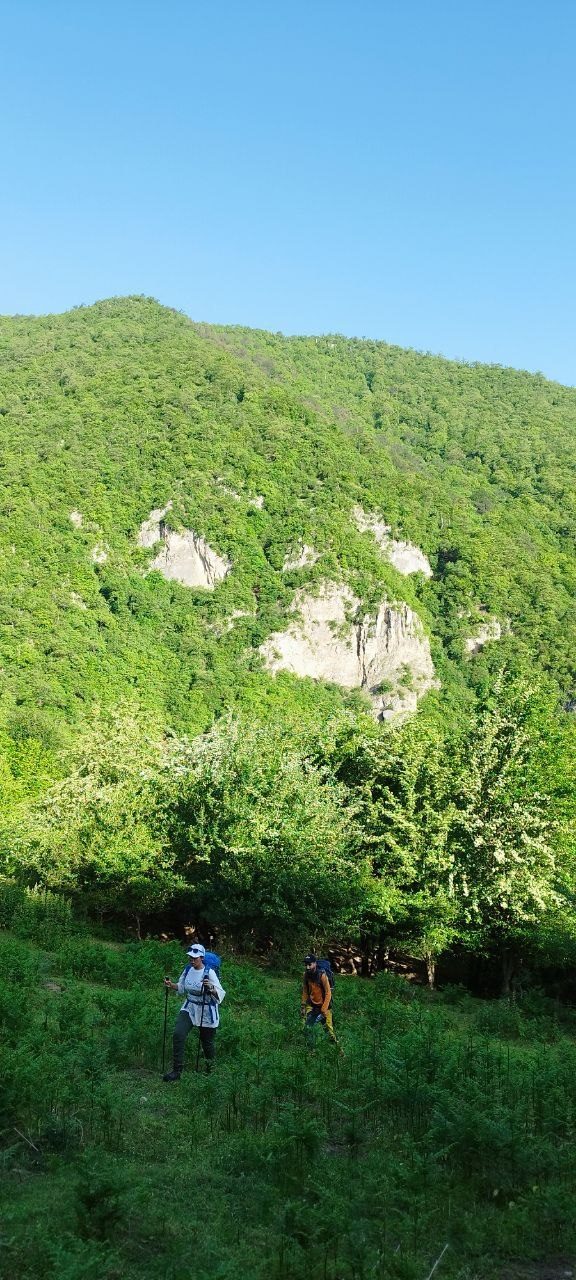 گزارش صعود به قله کله‌ سر باشگاه کوهنوردی زاگرس